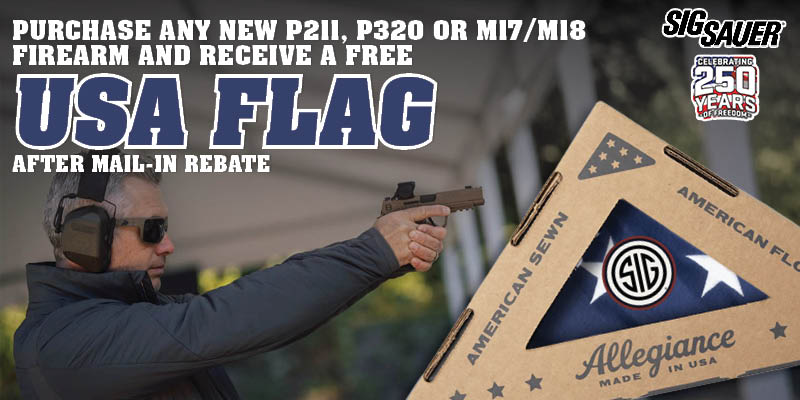 Free American Flag